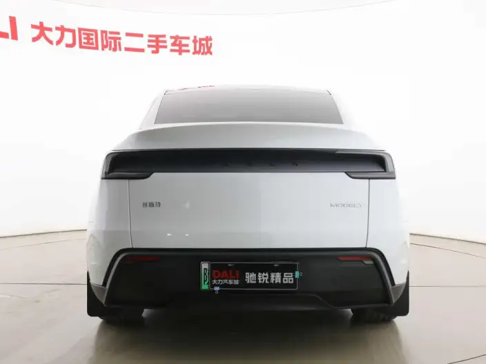 Model Y 2025 Model Rear-wheel drive version – фото 6