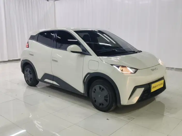 BYD Seagull 2024 Model Honor Edition 305KM Vitality Edition – фото 3