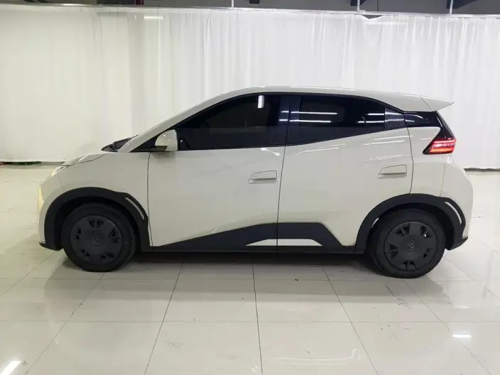 BYD Seagull 2024 Model Honor Edition 305KM Vitality Edition – фото 4