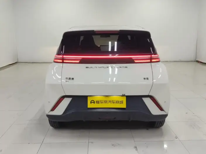BYD Seagull 2024 Model Honor Edition 305KM Vitality Edition – фото 6
