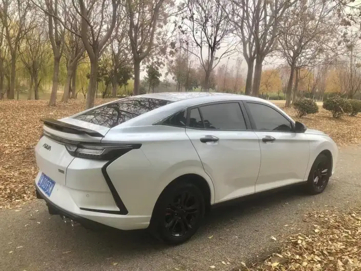 Yixuan 2023 Model Mach Version 1.5L Automatic Honor Edition – фото 6