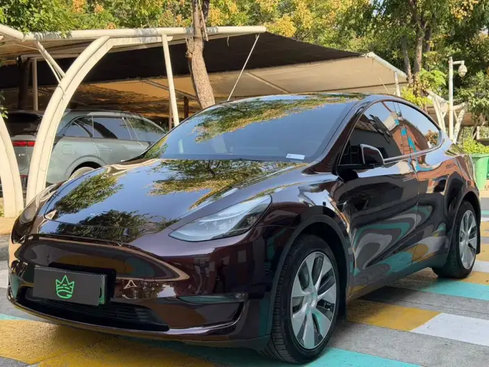 Model Y 2022 Model Long Battery Life Pro All-wheel drive version – фото 1