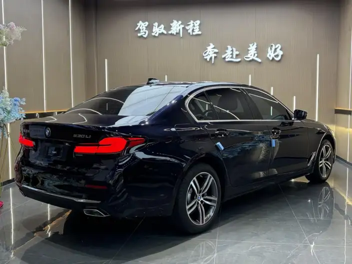 BMW 5 Series 2023 Model 530Li Leading Model Luxury Set – фото 6