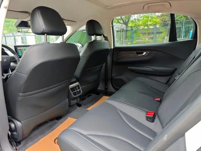 Hongqi E-QM5 2023 Model Facelift 620KM PLUS Edition – фото 9