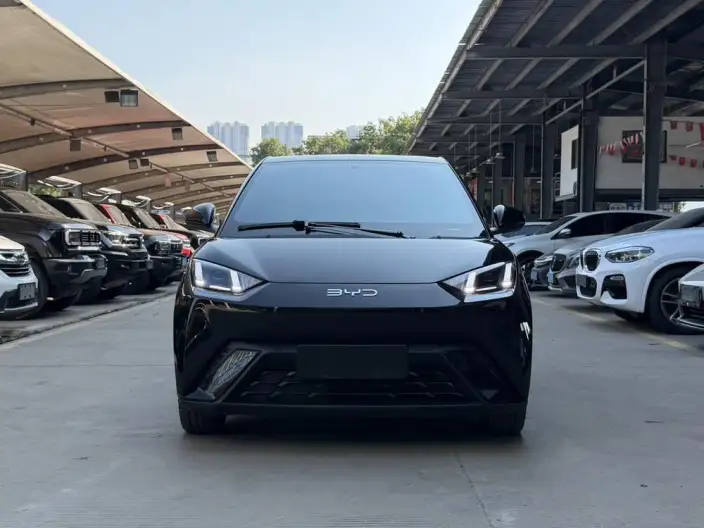 BYD Seagull 2023 Model Feixiang Edition – фото 2