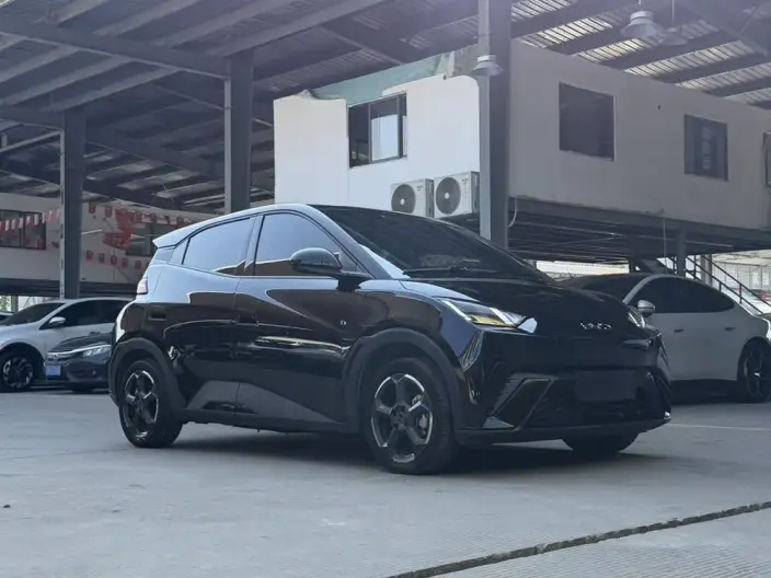 BYD Seagull 2023 Model Feixiang Edition – фото 3