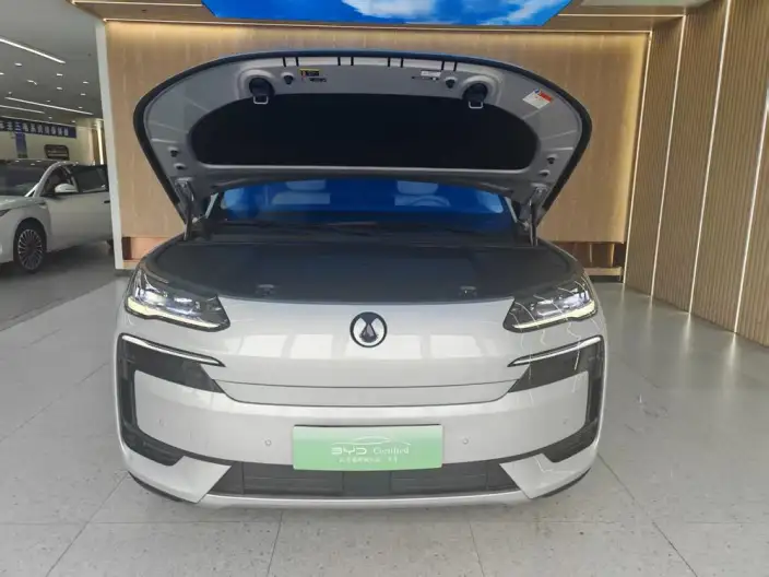 DENZA N9 DM 2025 Model Flagship Model – фото 6
