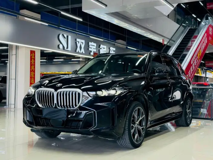 BMW X5 2023 Model xDrive30Li Exclusive Model M Sports Night Set – фото 1