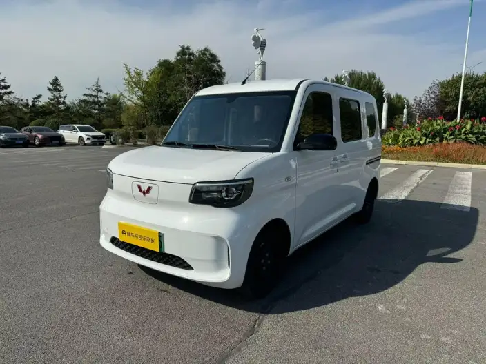 WULING Sunshine EV 2025 Model Standard Model
