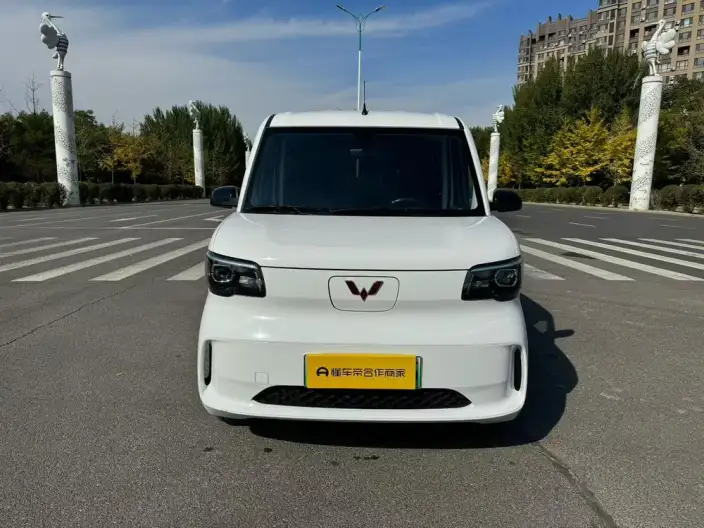 WULING Sunshine EV 2025 Model Standard Model