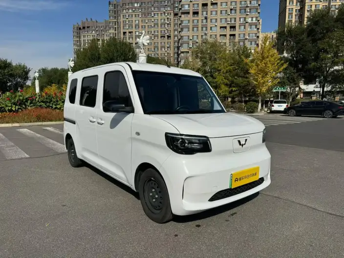 WULING Sunshine EV 2025 Model Standard Model