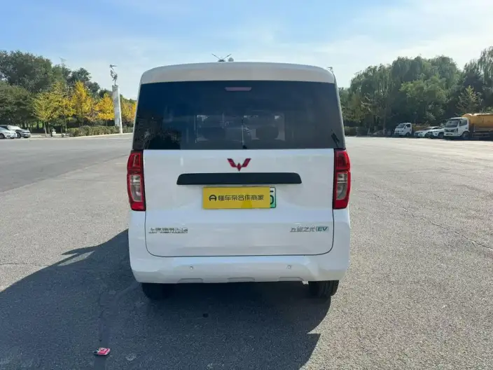 WULING Sunshine EV 2025 Model Standard Model