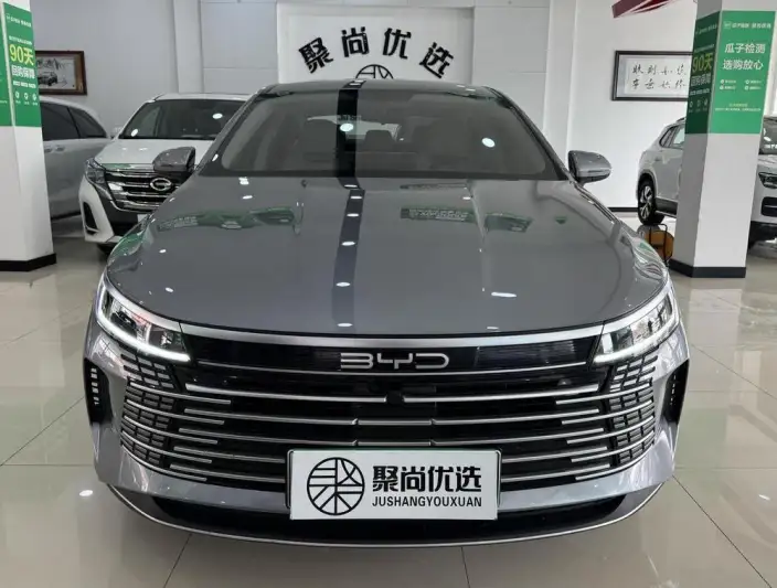 BYD Destroyer 05 2024 Model Honor Edition DM-i 55KM Luxury Model – фото 2