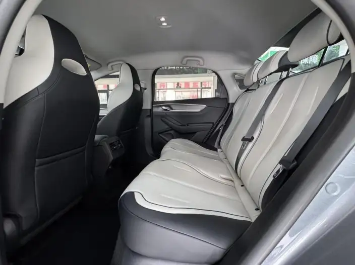 BYD Destroyer 05 2024 Model Honor Edition DM-i 55KM Luxury Model – фото 9