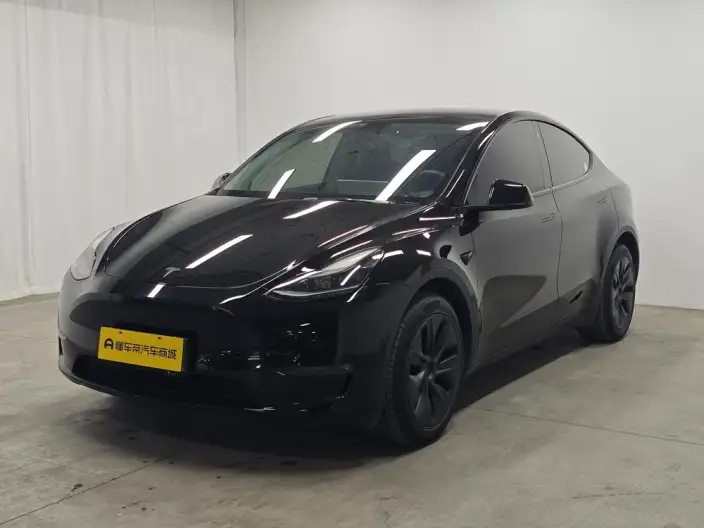 Model Y 2023 Model Long Battery Life Pro All-wheel drive version – фото 1