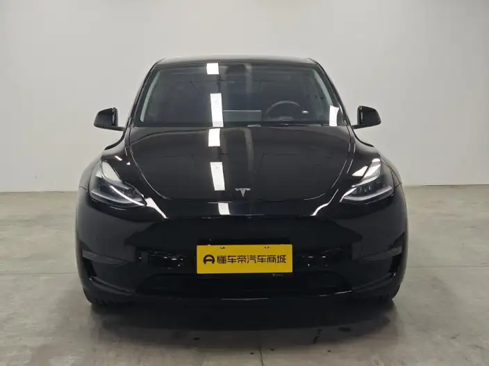 Model Y 2023 Model Long Battery Life Pro All-wheel drive version – фото 2