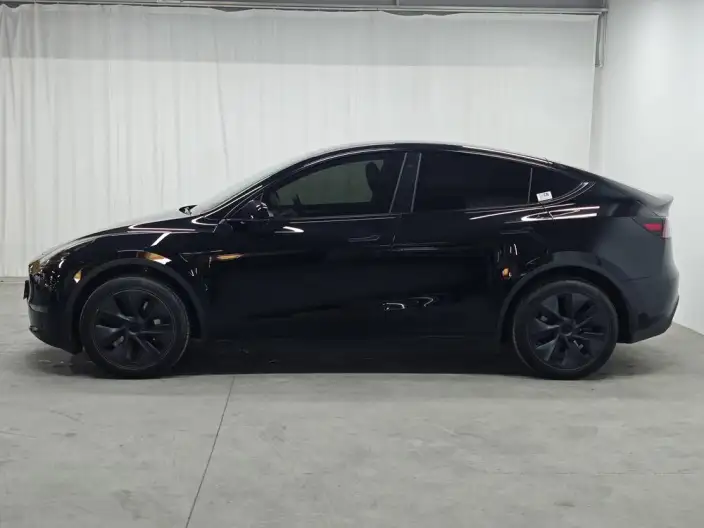 Model Y 2023 Model Long Battery Life Pro All-wheel drive version – фото 4