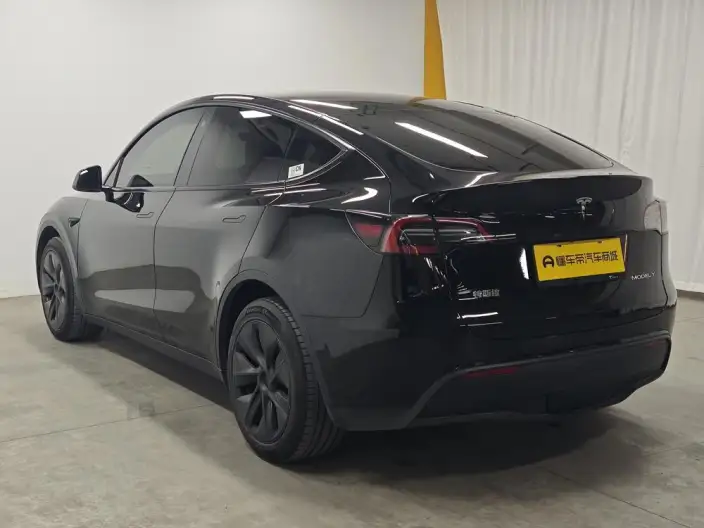 Model Y 2023 Model Long Battery Life Pro All-wheel drive version – фото 5