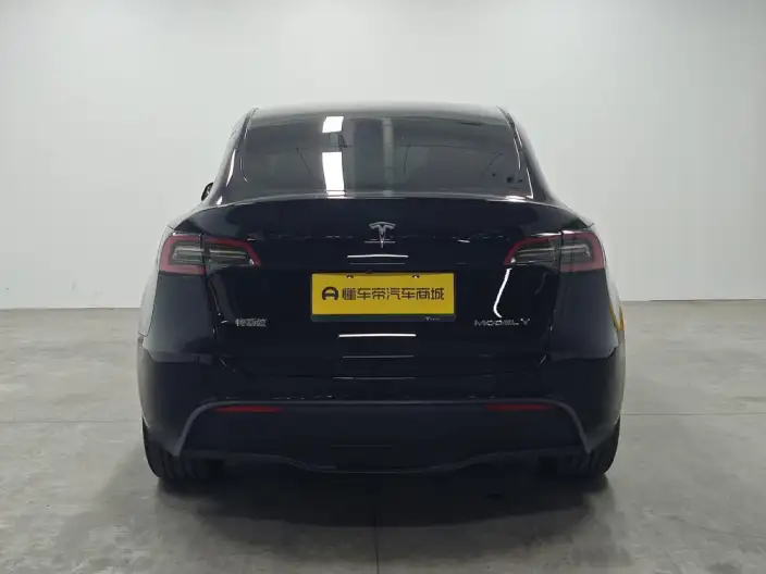 Model Y 2023 Model Long Battery Life Pro All-wheel drive version – фото 6