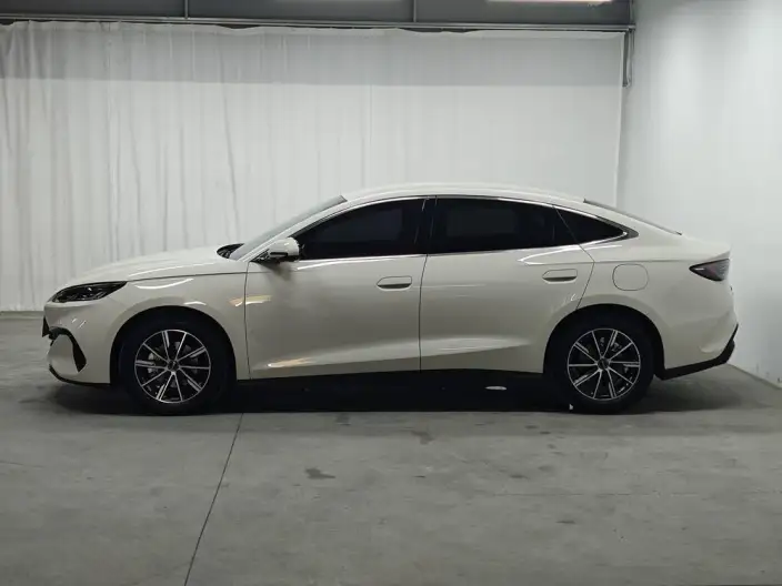 BYD Seal 06 DM 2024 Model DM-i 80KM Noble Model – фото 4