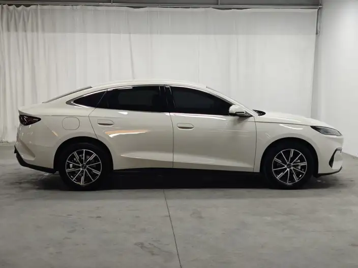 BYD Seal 06 DM 2024 Model DM-i 80KM Noble Model – фото 8