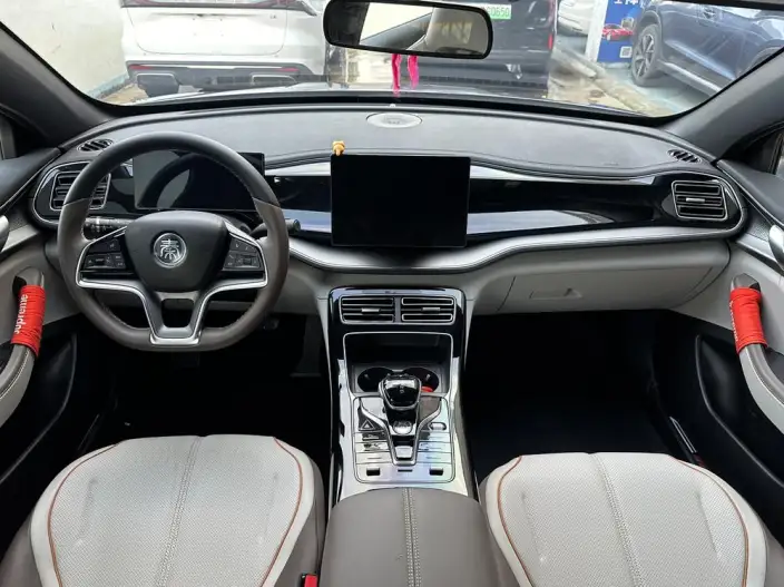 Qin Plus EV 2024 Model Honor Edition 420KM Leading Model – фото 6