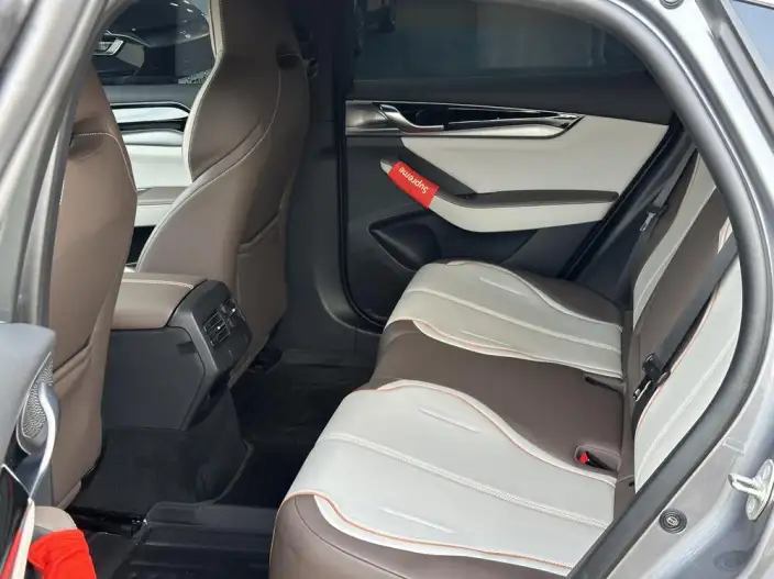 Qin Plus EV 2024 Model Honor Edition 420KM Leading Model – фото 10