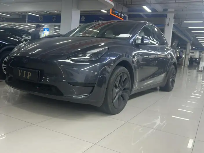 Model Y 2024 Model Rear-wheel drive version – фото 1