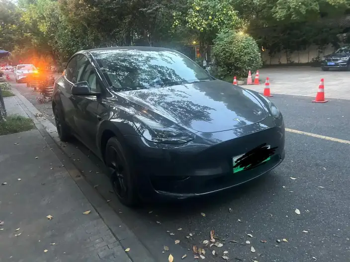 Model Y 2024 Model Rear-wheel drive version – фото 3