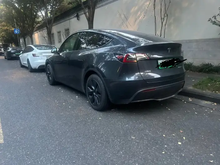 Model Y 2024 Model Rear-wheel drive version – фото 4