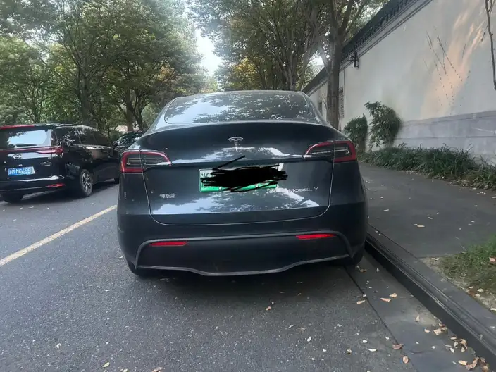 Model Y 2024 Model Rear-wheel drive version – фото 5