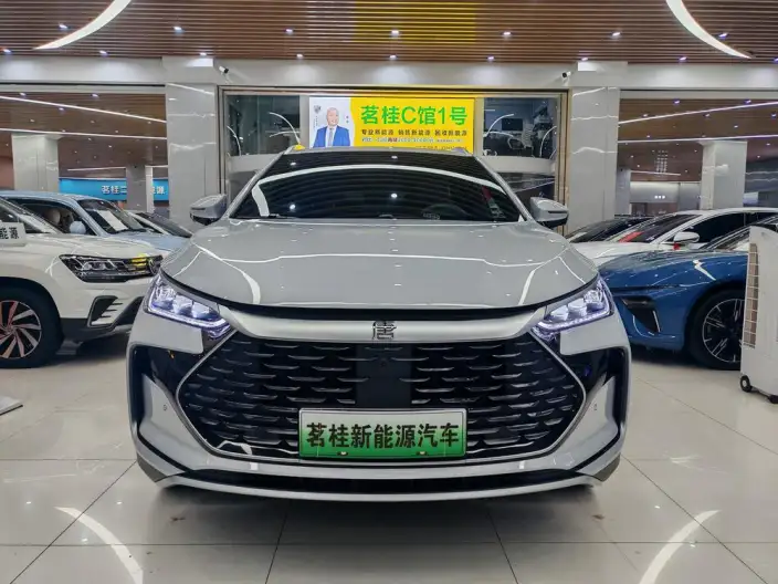 BYD Tang DM 2025 Model DM-i 115KM Zunrong Model – фото 2