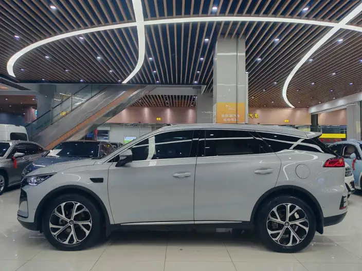 BYD Tang DM 2025 Model DM-i 115KM Zunrong Model – фото 4