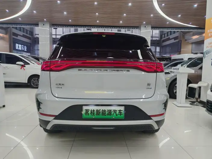 BYD Tang DM 2025 Model DM-i 115KM Zunrong Model – фото 6