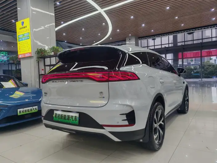 BYD Tang DM 2025 Model DM-i 115KM Zunrong Model – фото 7