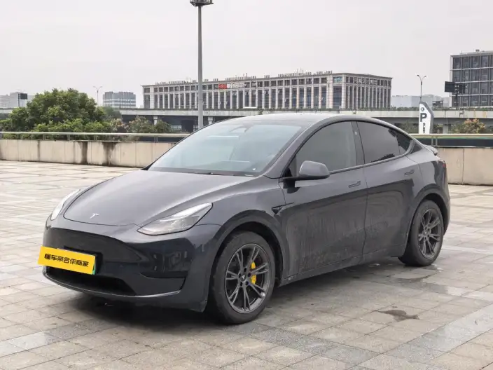Model Y 2024 Model Rear-wheel drive version – фото 1