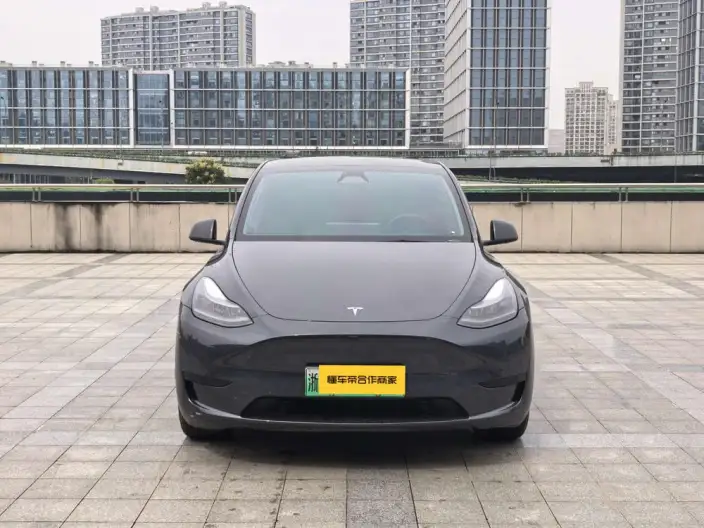 Model Y 2024 Model Rear-wheel drive version – фото 2