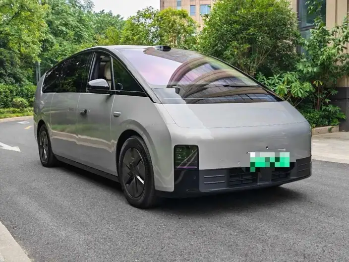 Li Auto MEGA 2025 Model Home Family Special Edition – фото 3
