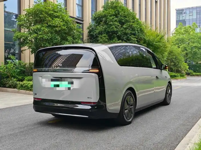 Li Auto MEGA 2025 Model Home Family Special Edition – фото 6