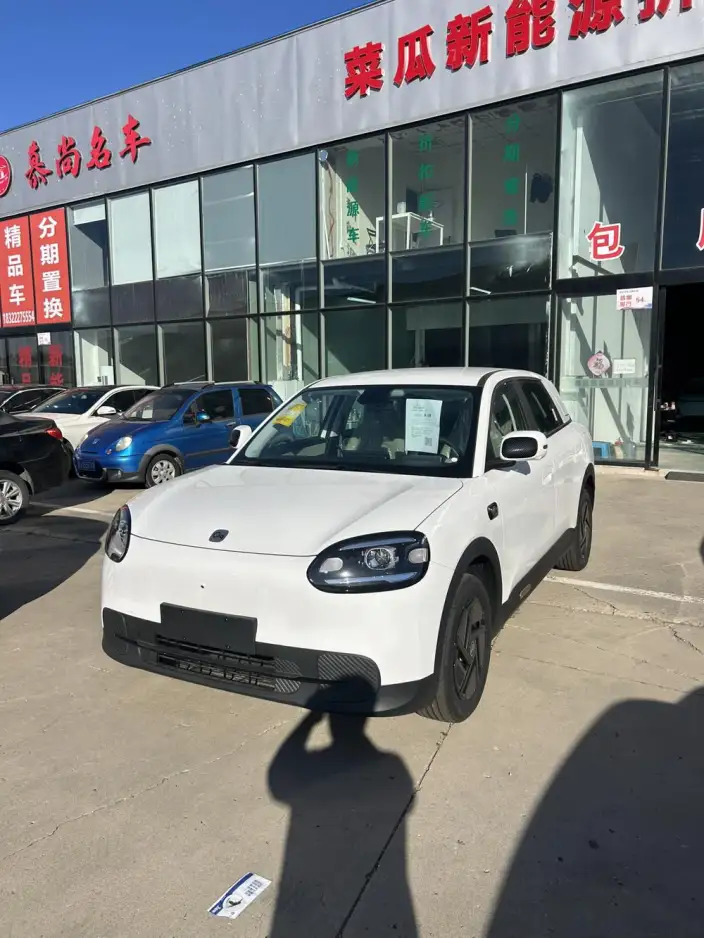 QQ3 EV 2026 Model 310 Reai Edition