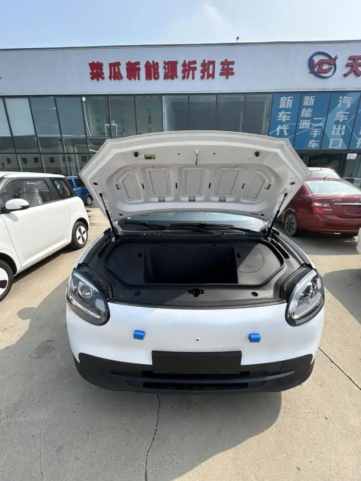 QQ3 EV 2026 Model 310 Reai Edition – фото 7