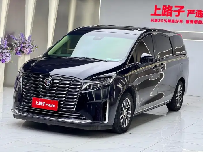 Buick GL8 2023 Model ES Luzun 2.0T Exclusive Model Heyue Edition