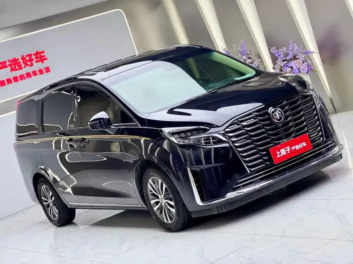 Buick GL8 2023 Model ES Luzun 2.0T Exclusive Model Heyue Edition
