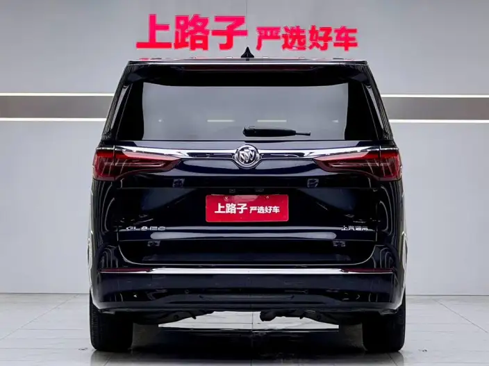 Buick GL8 2023 Model ES Luzun 2.0T Exclusive Model Heyue Edition – фото 5
