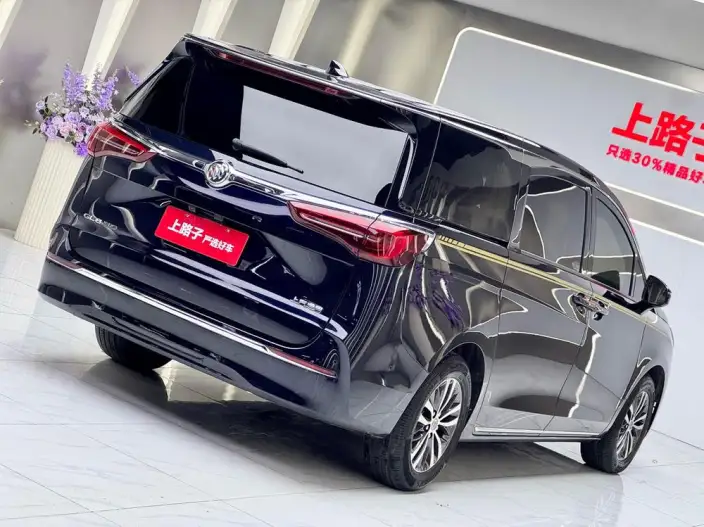 Buick GL8 2023 Model ES Luzun 2.0T Exclusive Model Heyue Edition – фото 6