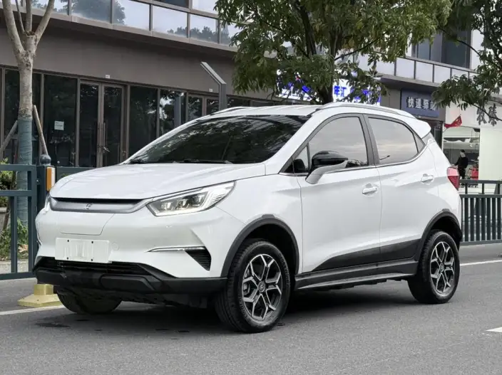 Yuan Pro 2023 Model 401KM Luxury Model – фото 1