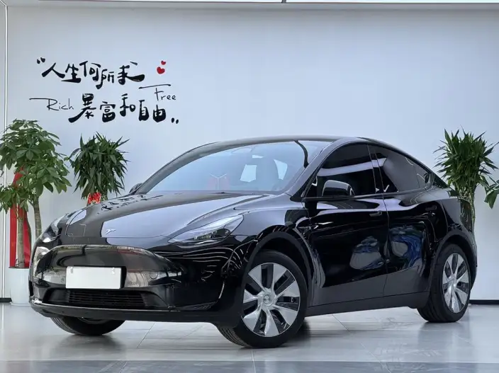 Model Y 2022 Model Facelift Rear-wheel drive version – фото 1