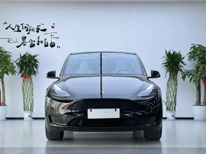 Model Y 2022 Model Facelift Rear-wheel drive version – фото 2
