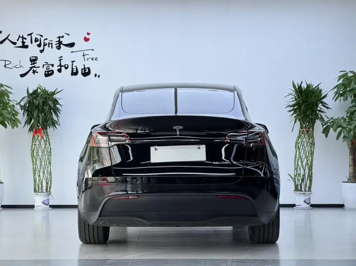 Model Y 2022 Model Facelift Rear-wheel drive version – фото 5