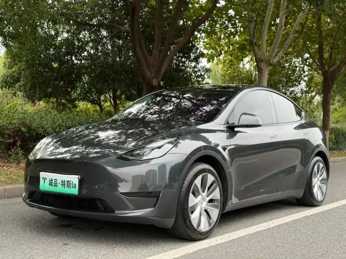 Model Y 2022 Model Facelift Rear-wheel drive version – фото 1